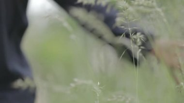 Doğada bir kızın eli