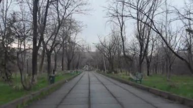 Avrupa 'daki eski park, ağaç sokak