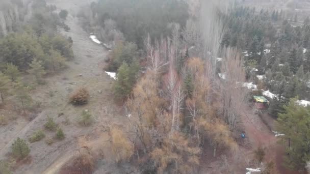 Lac Sauvage Sombre Dans Une Forêt — Video