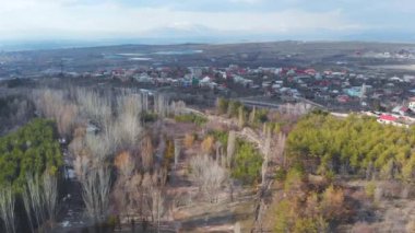 Kasvetli bir ormanda kar yağıyor.