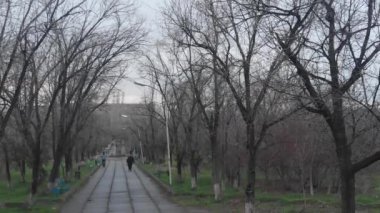 Parkta yürüyen iki çocuk.