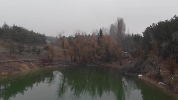 Lac Sauvage Sombre Dans Une Forêt — Video