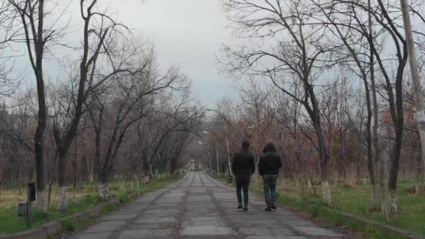 Due Ragazzi Che Camminano Parco — Video Stock