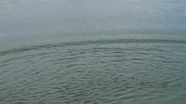 Göldeki yumuşak dalga