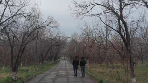 Due Ragazzi Che Camminano Parco — Video Stock