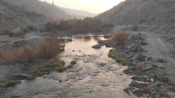 Sungai Yang Indah Dan Liar Hutan Pegunungan — Stok Video