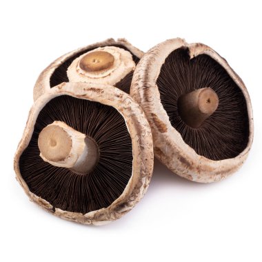 Portobello mushrooms isolated on white background clipart