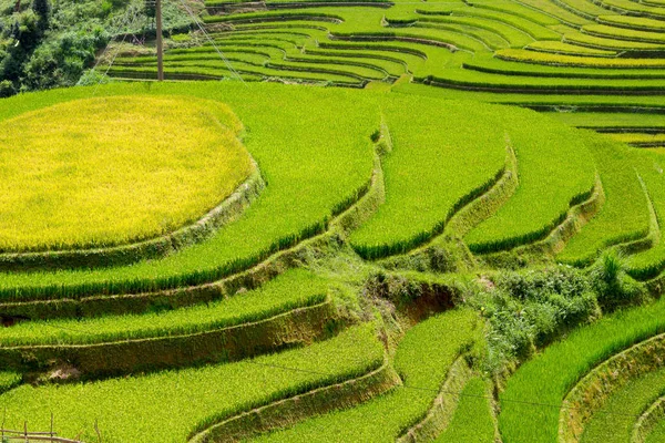 Scenic View Rice Fields Northwest Vietnam — Stock Photo, Image