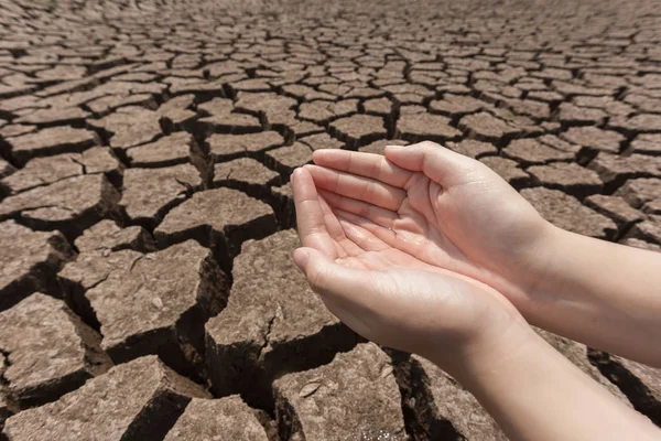 water in hand on cracked dry land.