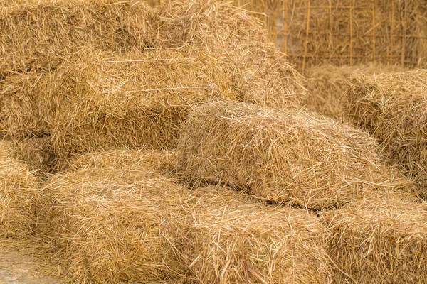 Högen Halm För Djur Mat Bakgrund — Stockfoto