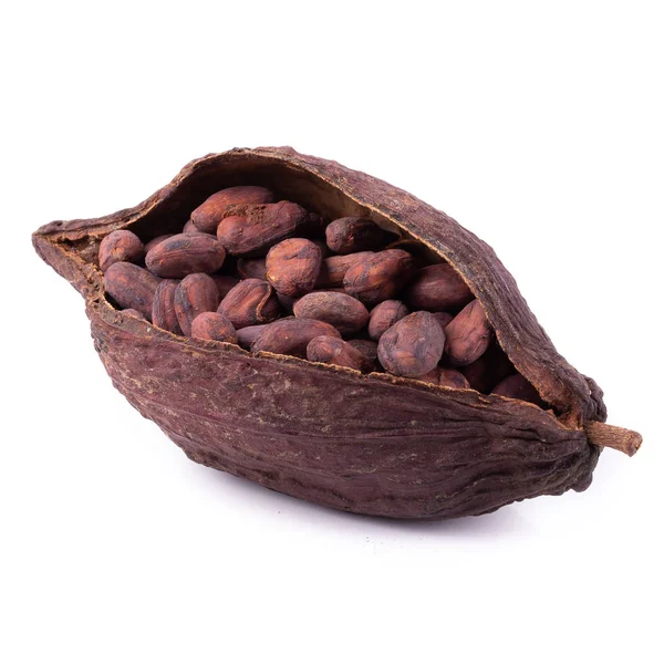 Suszonych Kakao Pod Izolowana Białym Tle — Zdjęcie stockowe