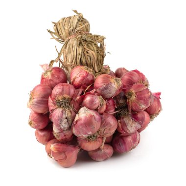 Beyaz arkaplanda taze soğanlar izole edildi