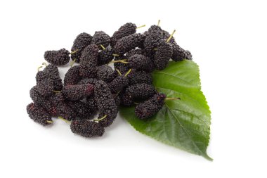 Beyaz arka plan üzerinde izole dut çilek