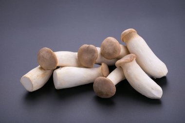 siyah bir zemin üzerine taze origin mantar.