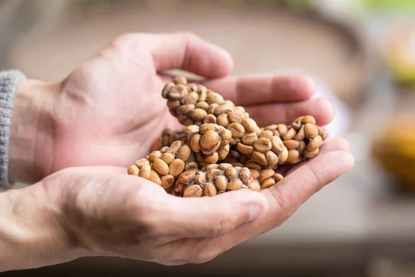 Man Holding Kopi Luwak Civet Coffee — Stock Photo, Image