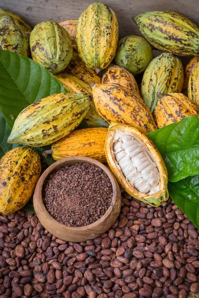 Vaina Plumas Cacao Maduro Fondo Configuración Granos Cacao — Foto de Stock