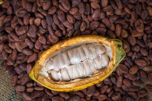 Ripe Cocoa Pod Beans Setup Rustic Wooden Background — Stock Photo, Image