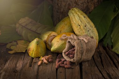 Ahşap arka plan üzerinde ham kakao çekirdekleri ile kakao meyve