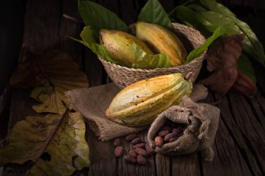 Ahşap arka plan üzerinde ham kakao çekirdekleri ile kakao meyve