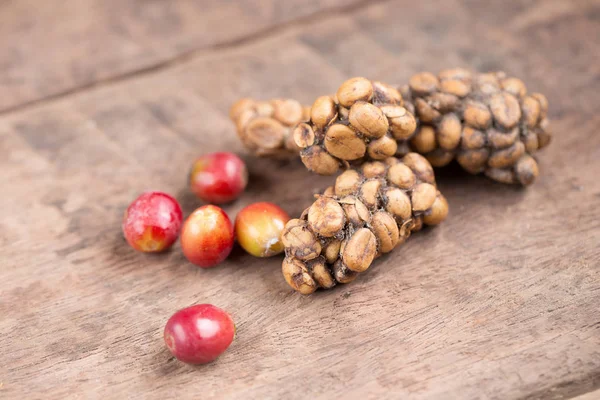 Kopi Luwak Civet Coffee Coffee Beans Excreted Civet — Stock Photo, Image