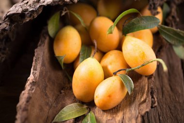 Plango meyve ya da Marian Plum tropikal Güneydoğu Asya meyve eski