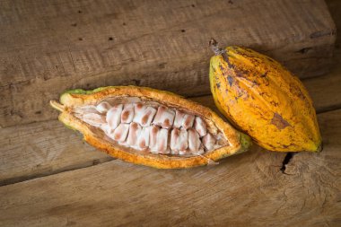 Olgun kakao pod Kur rustik ahşap zemin üzerine