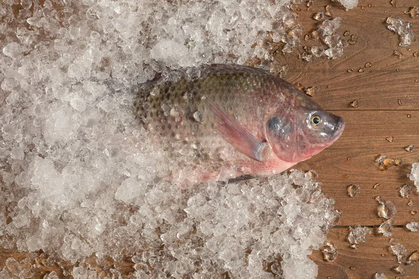 Frischer Niltilapia Auf Eis Und Holzgrund — Stockfoto