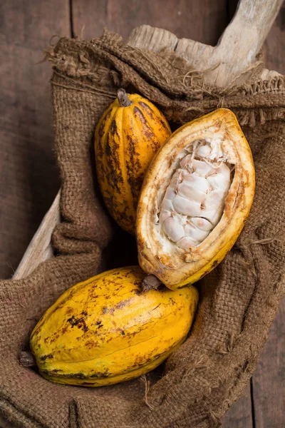 Vista Cercana Pila Fruta Cacao —  Fotos de Stock
