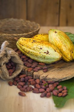 ahşap arka plan üzerinde ham kakao bakla