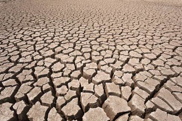 Cracked Dry Land Water — Stock Photo, Image