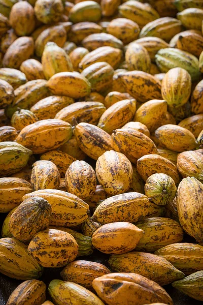 Vista Cercana Del Fondo Vainas Cacao Crudo — Foto de Stock