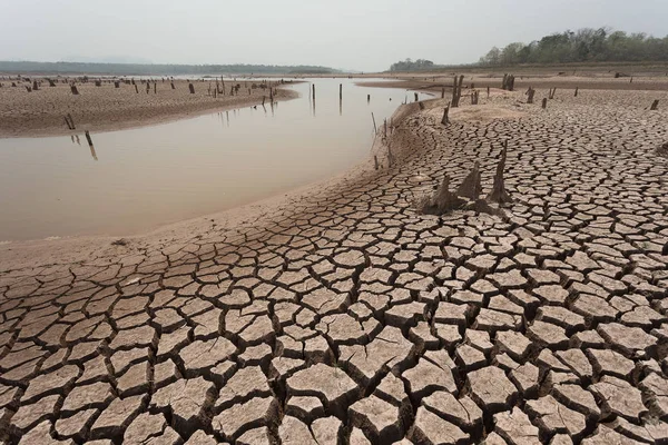 Cracked Dry Land Water — Stock Photo, Image