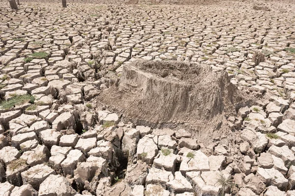 Cracked Dry Land Water — Stock Photo, Image