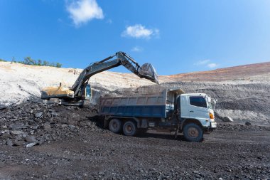 Kanaryalar, Beko eser