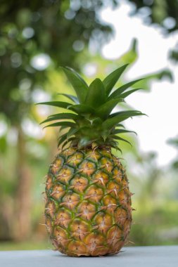 ananas meyve ahşap masa, ananas meyve diyet için picec üzerinde