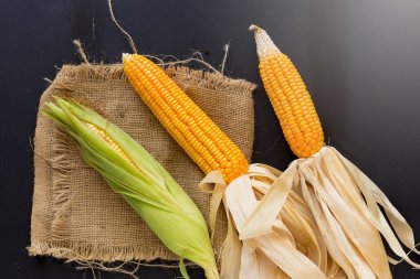 Mısır taneleri ve siyah ahşap zemin üzerine mısır saplarını