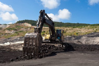 sarı kazıcı iş içinde Kanaryalar