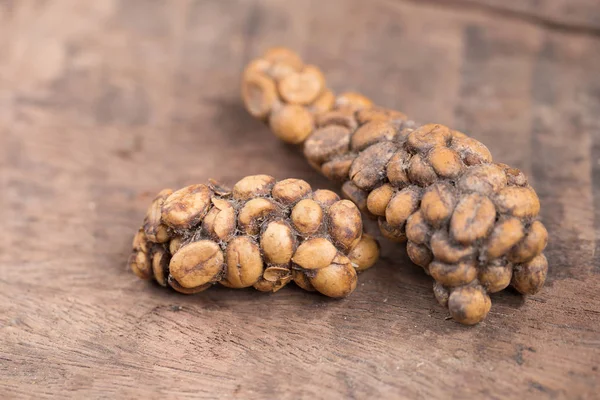 Kopi Luwak Civet Coffee Coffee Beans Excreted Civet — Stock Photo, Image