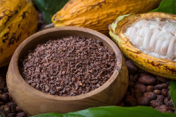 Vaina y plumas de cacao maduro, fondo de configuración de granos de cacao —  Fotos de Stock
