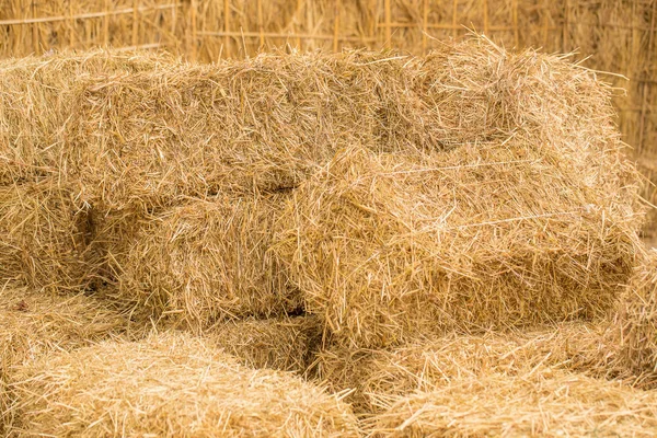 pile of straw for animals food background