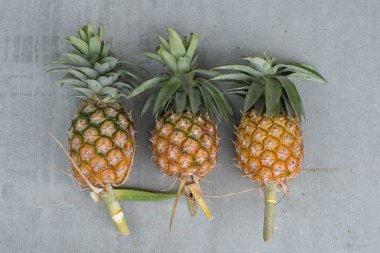 ananas meyve ahşap masa, ananas meyve diyet için picec üzerinde