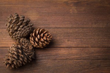 çam kozalakları ahşap meşe zemin üzerine