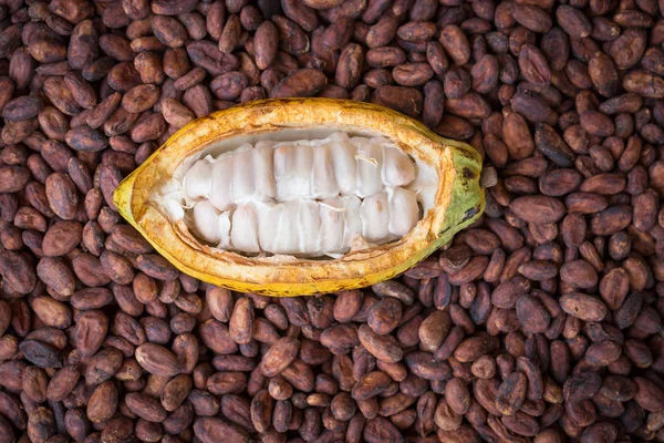 Monodosis de cacao y frijoles maduros sobre fondo rústico de madera —  Fotos de Stock