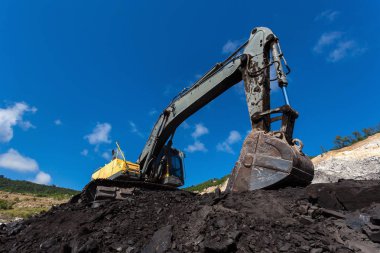 sarı kazıcı iş içinde Kanaryalar