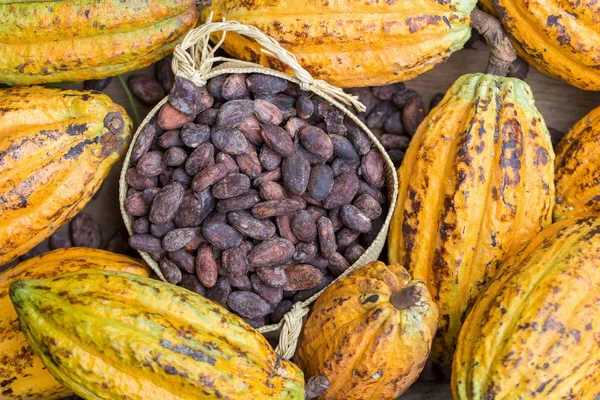 Vainas Cacao Frijoles Maduros Sobre Fondo Rústico Madera — Foto de Stock