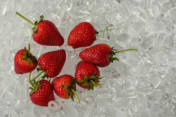 Fresh red strawberries on ice tube background — Stock Photo, Image