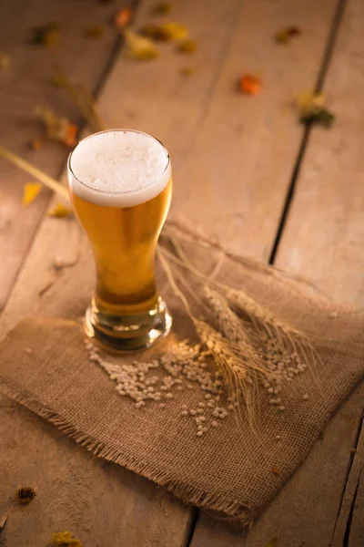 Glass of beer and barley rice on wooden table in Golden Light.