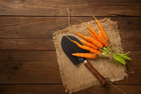 Pile Fresh Baby Carrots Wooden Background — Stock Photo, Image