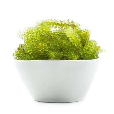 Beyaz arka plan üzerinde izole oval deniz üzüm deniz yosunu