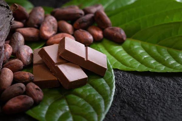Barras Chocolate Granos Cacao Con Hojas Verdes Sobre Fondo Oscuro —  Fotos de Stock